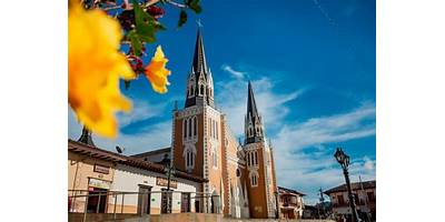 Imagen de la galería