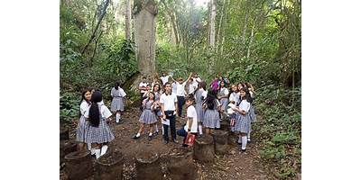 Imagen de la galería