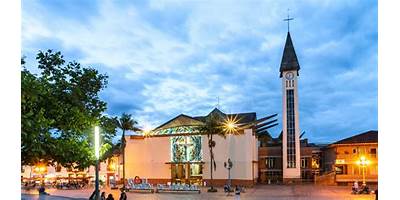 Imagen de la galería