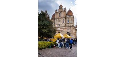 Imagen de la galería