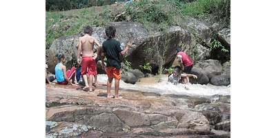 Imagen de la galería