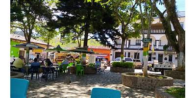 Imagen de la galería