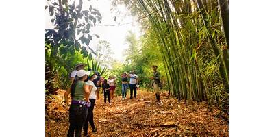 Imagen de la galería