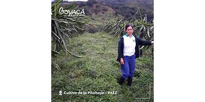 Imagen de la galería