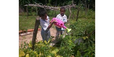 Imagen de la galería