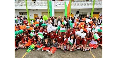 Imagen de la galería