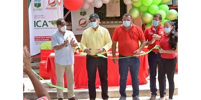 Imagen de la galería