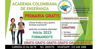 ACADEMIA COLOMBIANA DE ENSEÑANZA-ACE