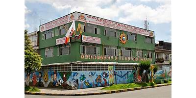 COLEGIO REAL LATINO