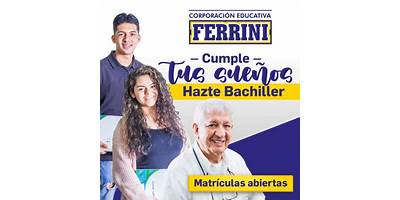 INSTITUCION EDUCATIVA CORPORACION EDUCATIVA FERRINI-CORFERRINI