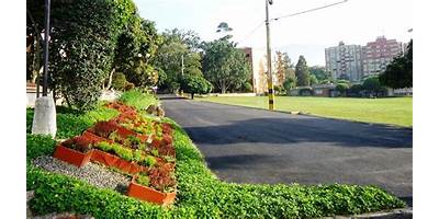 INSTITUTO COLOMBO VENEZOLANO