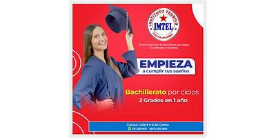 INSTITUTO DE EDUCACION DE ADULTOS IMTEL LTDA