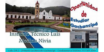 INSTITUTO TÉCNICO LUIS MEDINA NIVIA