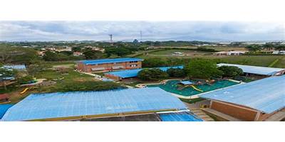 LIC CAMPESTRE DE PEREIRA