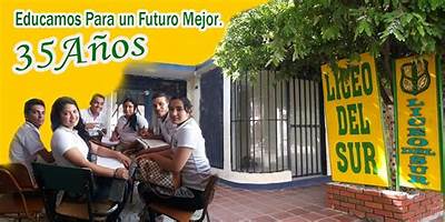 LICEO DEL SUR