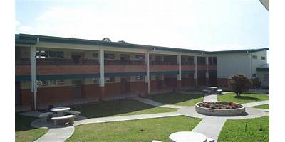 LICEO MARIA INMACULADA CENTRO FORMAL DE ADULTOS