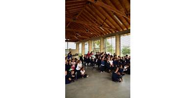 Imagen de la galería