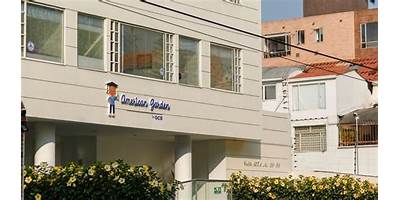 AMERICAN SCHOOL