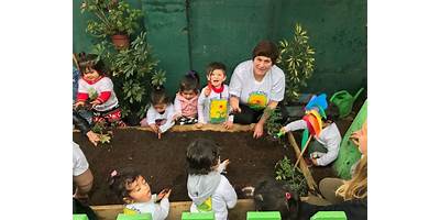 ASOCIACION EDUCATIVA SEMILLAS