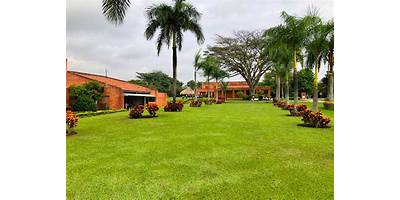 ASPAEN LICEO TACURÍ