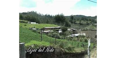 C. E. R. LEJOS DEL NIDO