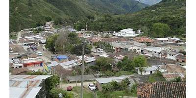 C.E. EL DAMIAN