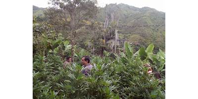 C.E. LA PILA