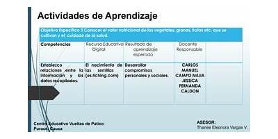 C.E. VUELTAS DE PATICO