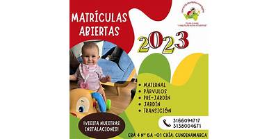 CENTRO DE DESARROLLO INTEGRAL PLAY SCHOOL