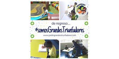 CENTRO EDUCATIVO GRANDES TRIUNFADORES