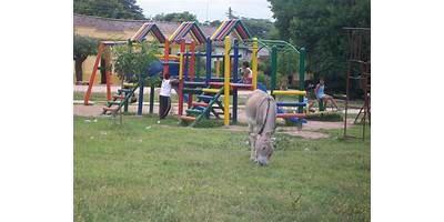 CENTRO EDUCATIVO LOS PONDORES