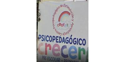 CENTRO PSICOPEDAGÓGICO DE ESTIMULACIÓN Y APRENDIZAJE CRECER