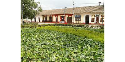 COL PSICOPEDAG BILINGUE EL ROSAL DE LA ESPERANZA