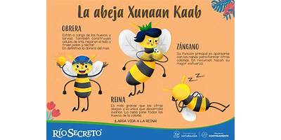 COL ROOSEVELTH (ANTIGUO LIC ABEJA MAYA)