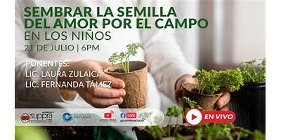 COL SEMILLAS DE AMOR Y FE
