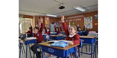 COLEGIO ALVERNIA BILINGÜE