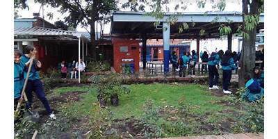 COLEGIO ANTONIO BARAYA (IED)