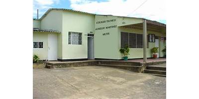 COLEGIO AURELIO MARTINEZ MUTIS