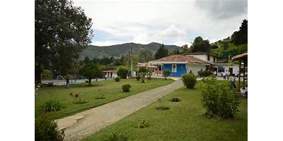 COLEGIO CAMPESTRE AIRE LIBRE