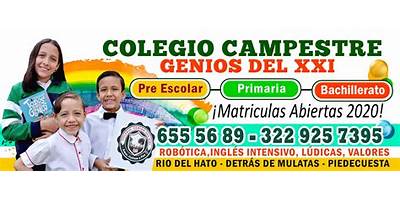COLEGIO CAMPESTRE GENIOS DEL XXI
