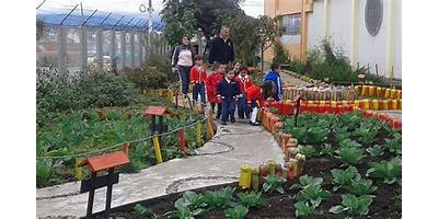 COLEGIO CHAMPAGNAT