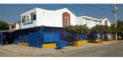 COLEGIO CHICOS INGENIOSOS