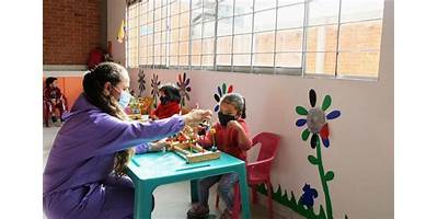 COLEGIO DE INTEGRACION ESCOLAR LUZ Y VIDA