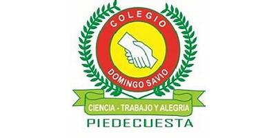 COLEGIO DOMINGO SAVIO