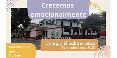 COLEGIO EL SALITRE - SUBA (IED)