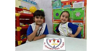 COLEGIO EL TESORO DEL SABER
