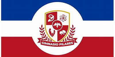 COLEGIO GIMNASIO PILARES DEL SABER