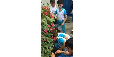 COLEGIO GRAN MARISCAL DE AYACUCHO