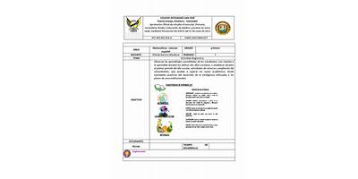 COLEGIO INTEGRADO SAN JOSE