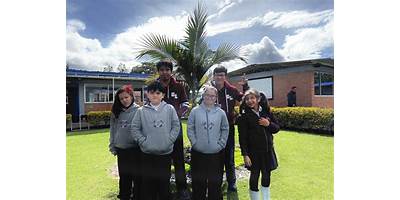 COLEGIO LAUSANA
